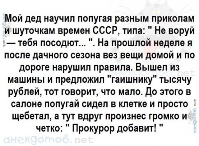 Прикольные и просто красивые картинки 05.11.2020