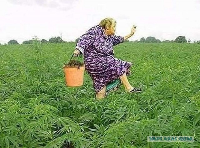 Девушки на свежем воздухе