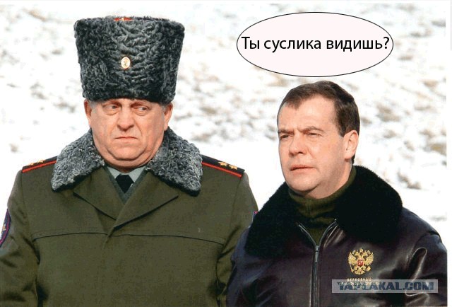 Бравые ребята