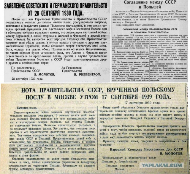 Питерский учёный считает, что «Холокоста в том объёме просто не было»