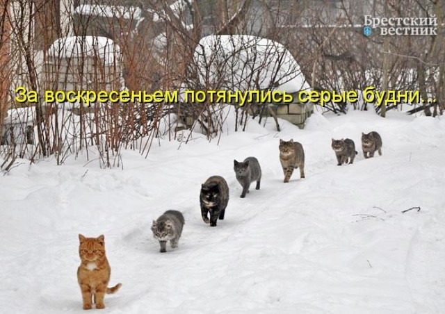 Бредзона 06.02.21