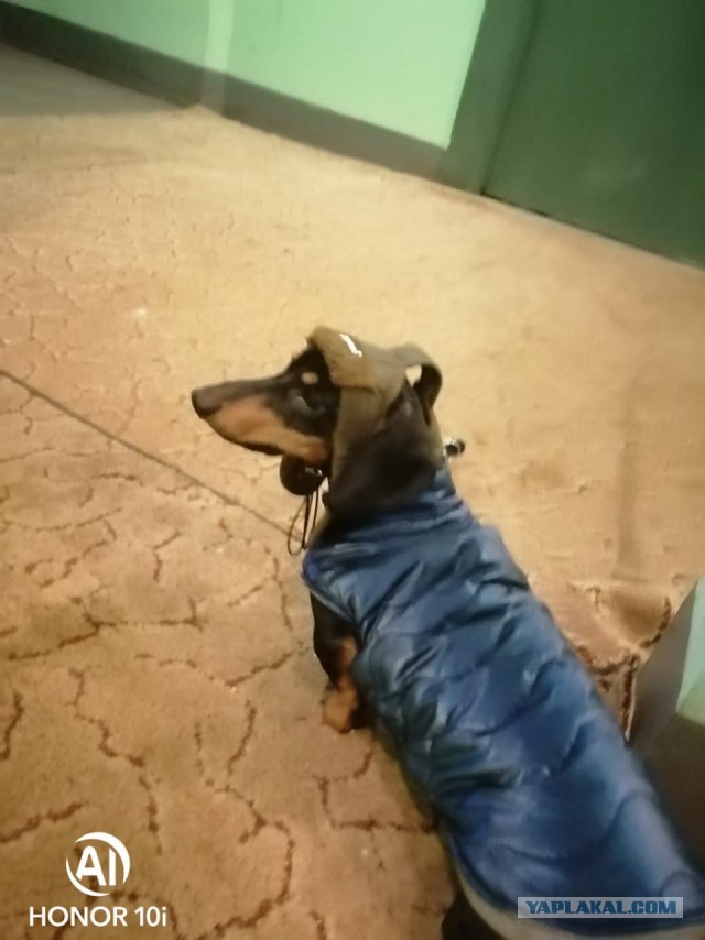 Знакомьтесь, Джек