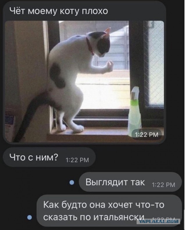 Бредзона 21.02.21