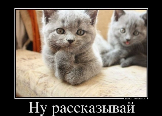 Вы жить хотите?