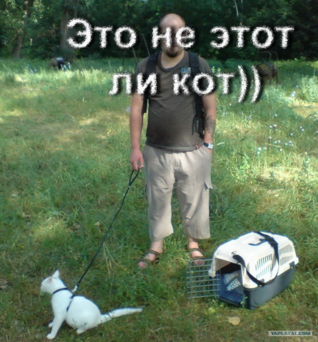 Картошку будешь?