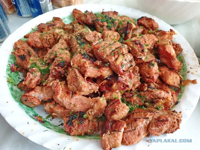 Шашлык, рецепты маринада, все про шашлык!