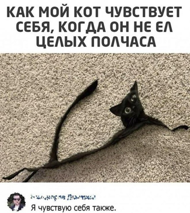 Картинки и мемы для настроения 29.06.2021