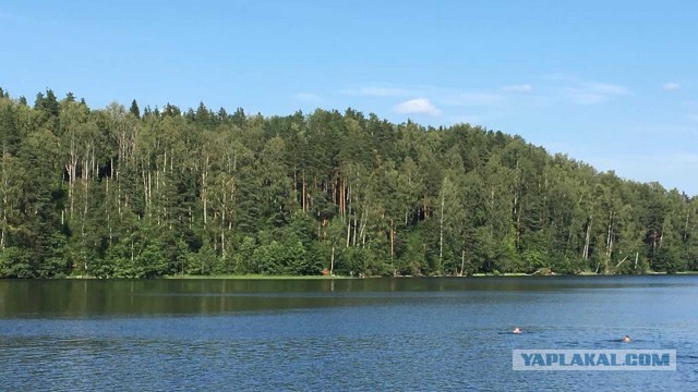 Про рыбалку. Крик души