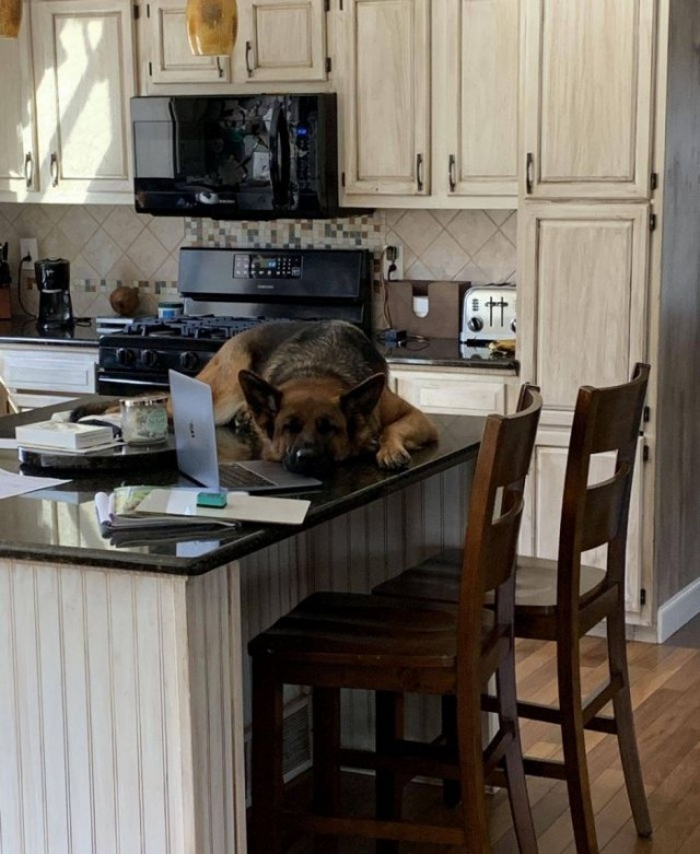 Картинки и мемы для настроения 05.08.2021