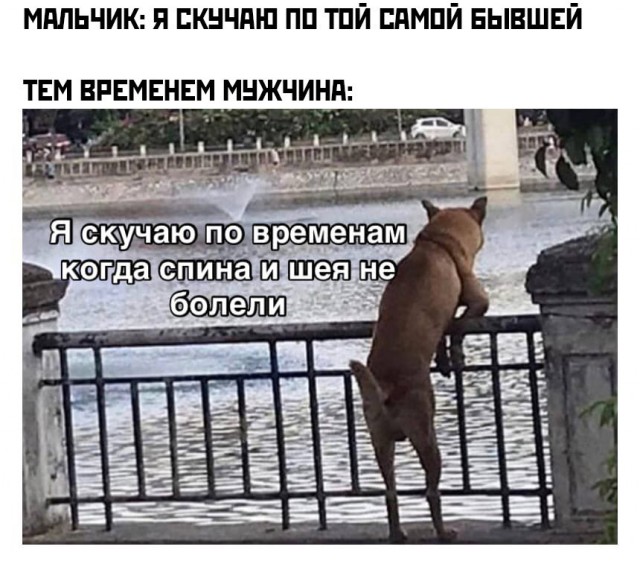 Бредзона 08.08.21