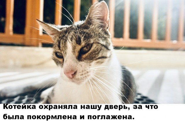 Так себе картинки 11.09.21