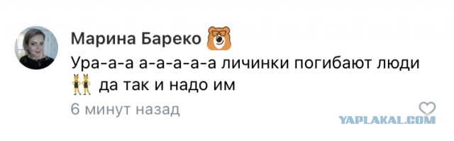 Очевидцы сообщают о стрельбе в Пермском государственном университете (ПГНИУ). Студенты покидают здание через окна.