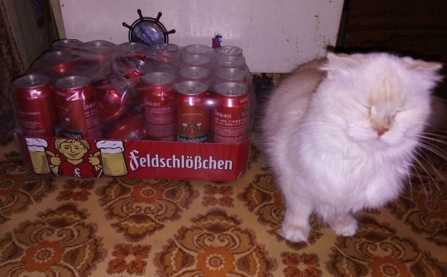не много грустный , не много злой Новогодний пост