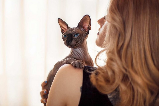 Девушки котовторника