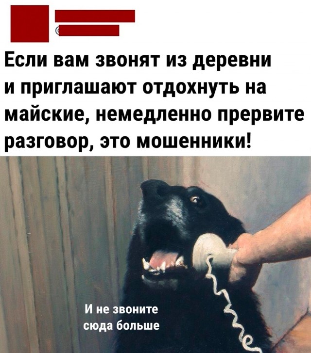 Так себе картинки 03.05.22