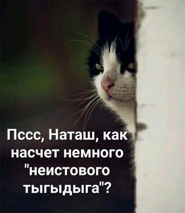 Картинки и мемы, всем хороших выходных