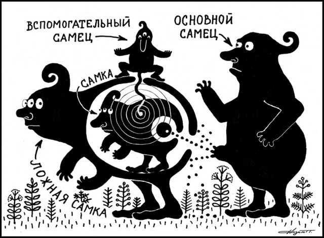 Веселые рисунки