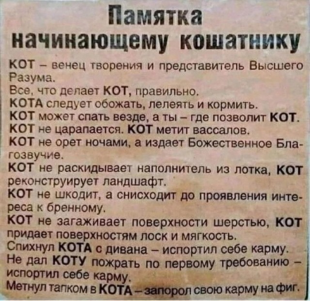 Так себе картинки 18.10.22