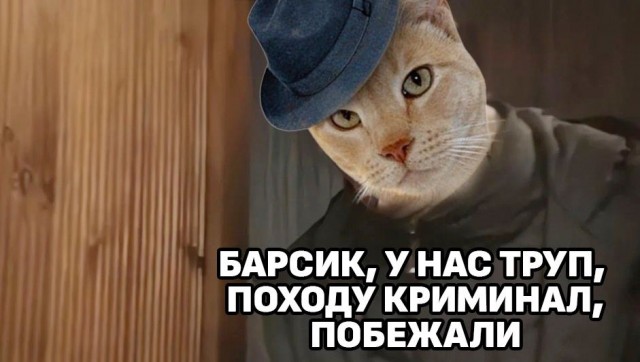Победная поступь идиотизма по планете.