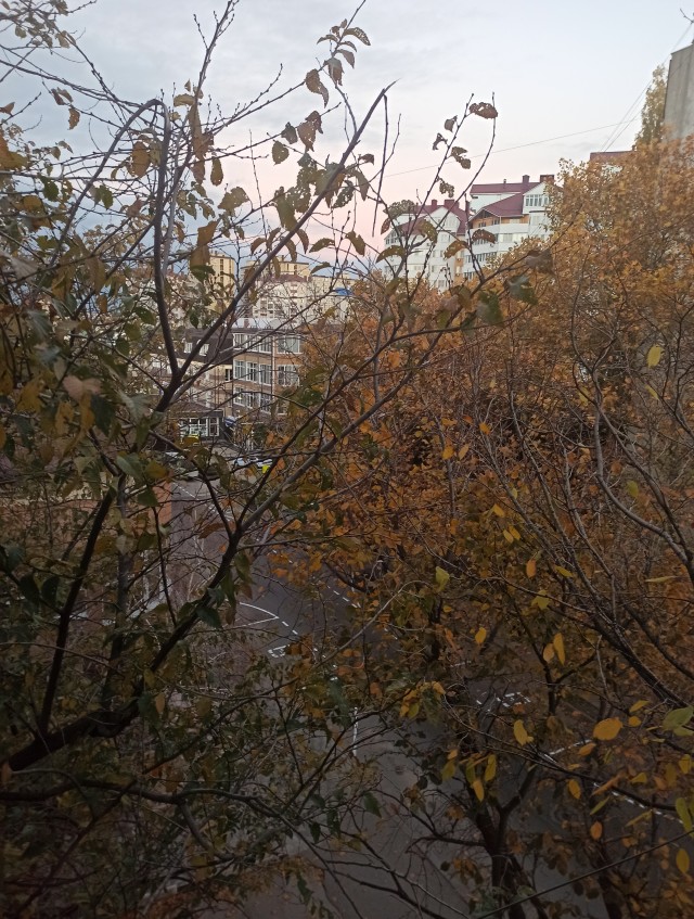 За окном