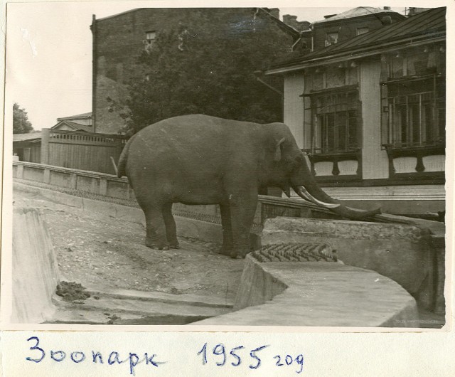 Фотографии из прошлого нашей страны - 12