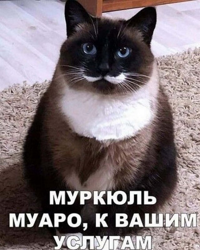 Немного картинок для настроения - 153