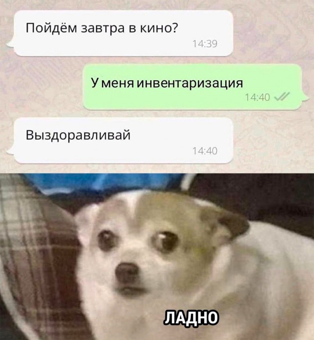Так себе картинки 04.06.23
