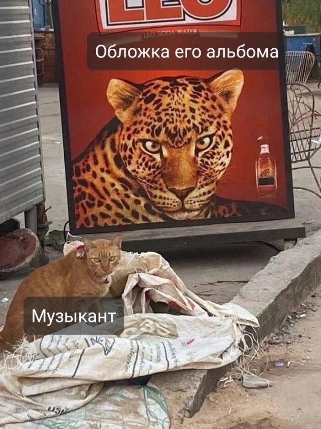 Так себе картинки 23.06.23
