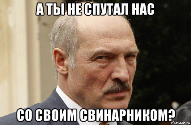 Победная поступь идиотизма по планете – том 17