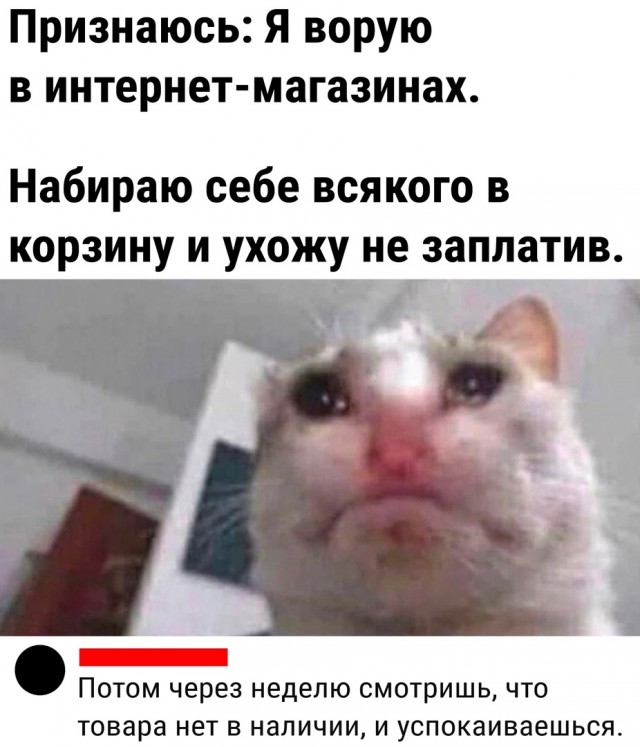 Так себе картинки 24.07.23