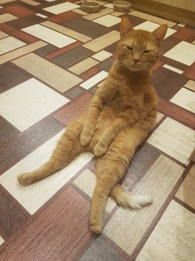 Не могу любить мужчину без денег