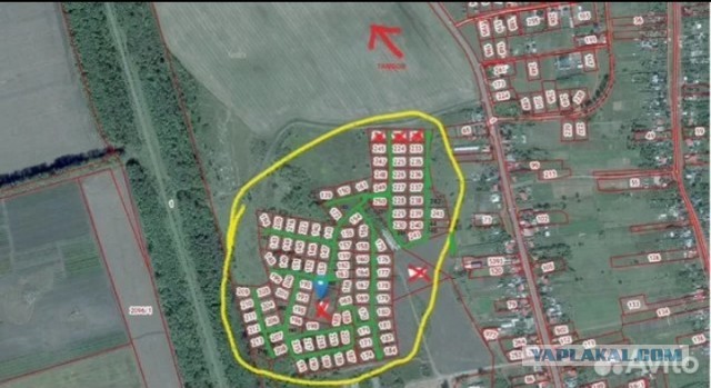 Продаю земельные участки в Тамбовской обл
