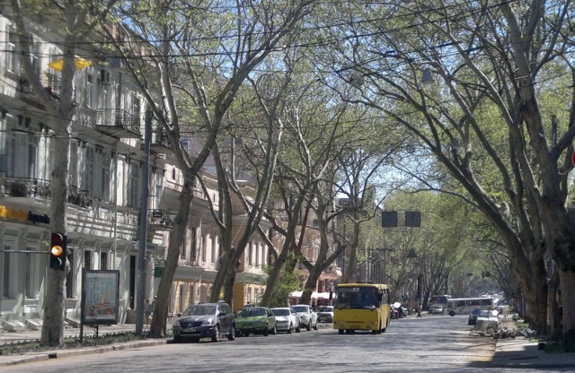 Одесса