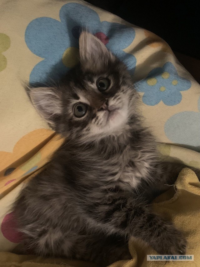 Которабство