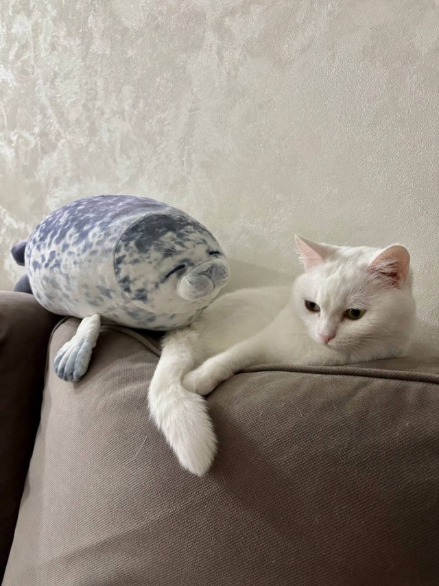 Из замарашки в милашку