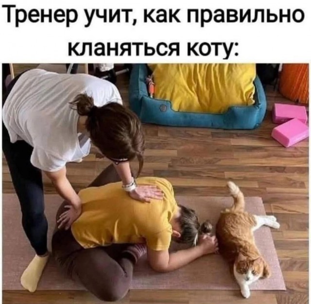 Завалялось тут случайно немного забавных картинок