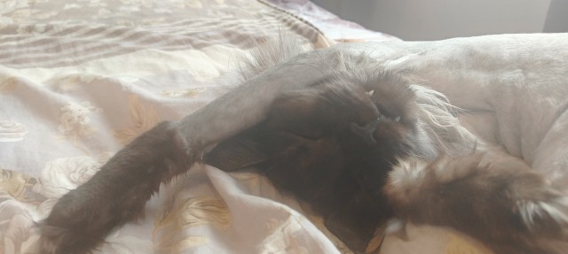 Вторник ведь.