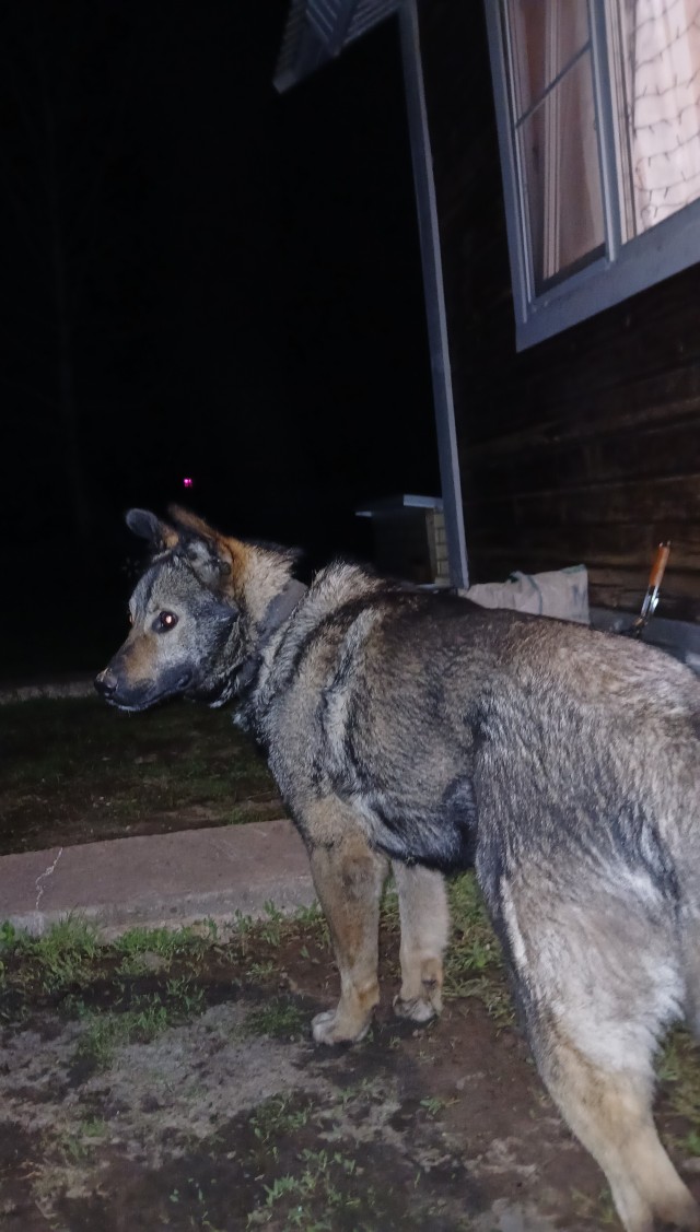 Четверг же!