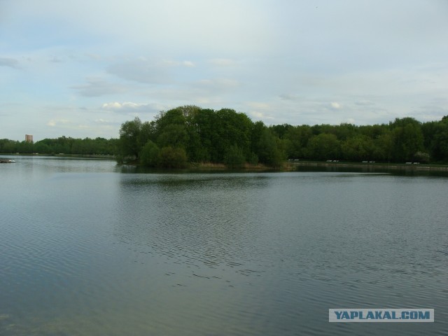 Кусково 15.05.2025