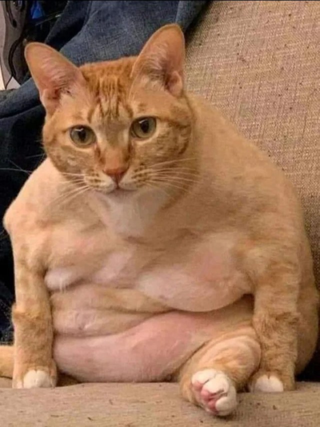 Одной пикчи псто