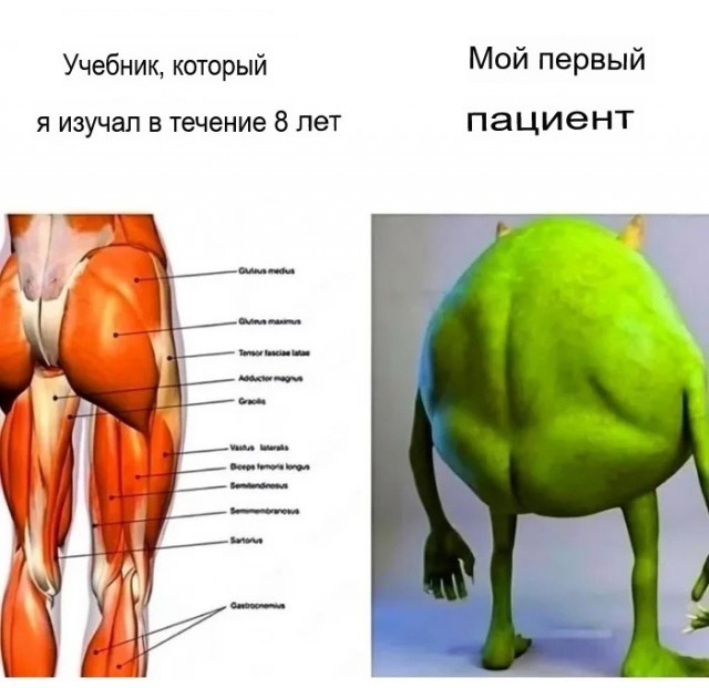 Так себе картинки 20.07.25