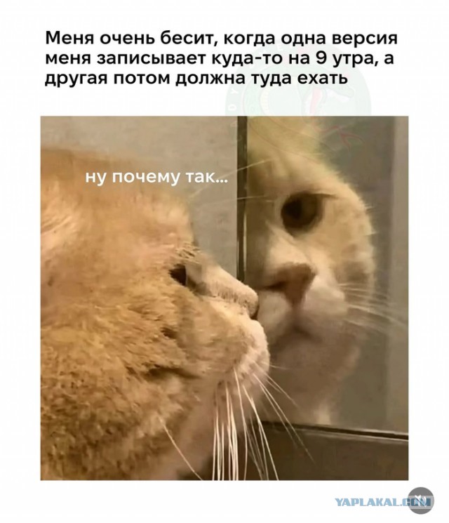 Маленькая пятница 1.10