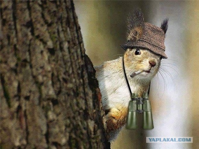 Вот и всё друзья, прощайте...