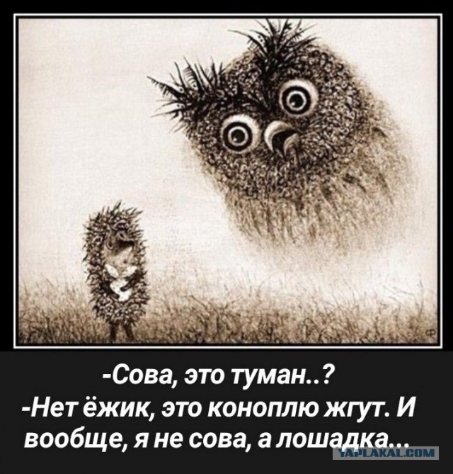 Прикольные и просто красивые картинки 12.12.2025