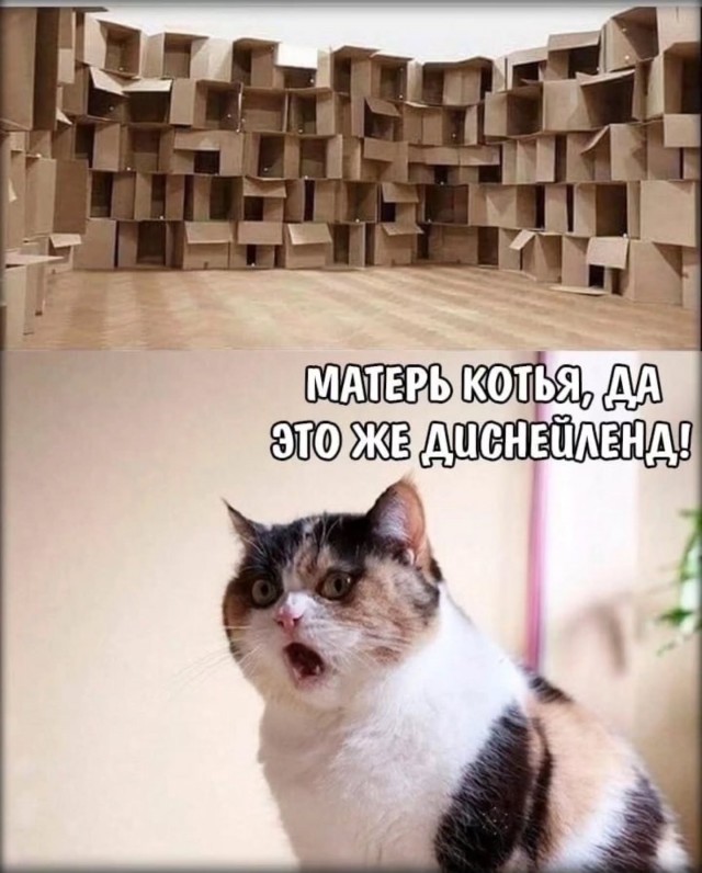 Картинки для деградации 130 (разной степени свежести)