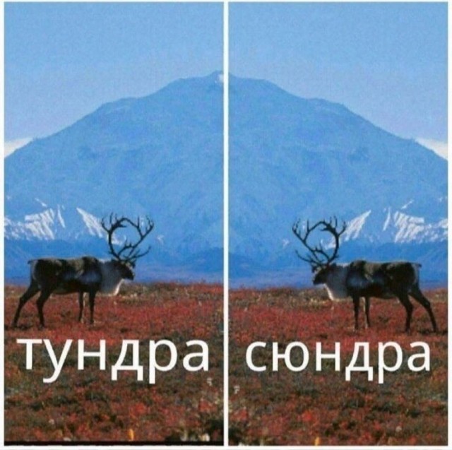 Сударыня Тударыня