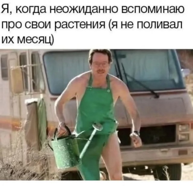 Среды картинки