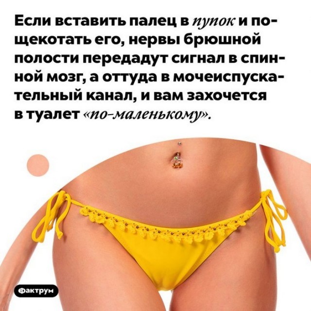 Интересные и короткие факты, на все случаи жизни