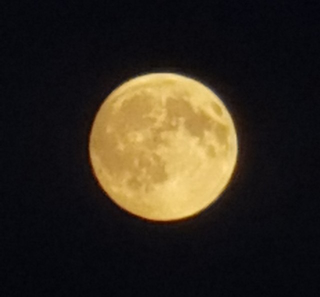 Одной фотки псто