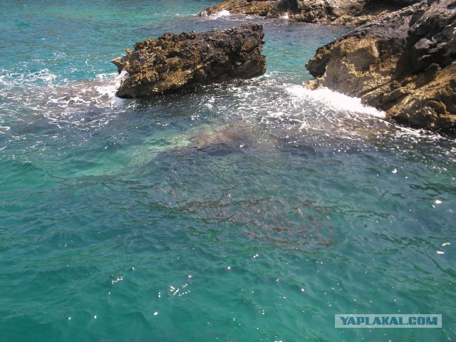Простить ли немцев за войну?